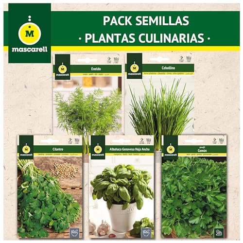Mascarell Semillas, PACK SEMILLAS PLANTAS CULINARIAS, Kit Huerto en Casa, Fácil de Cultivar, Contiene Perejil, Cilantro, Cebollino, Albahaca y Eneldo