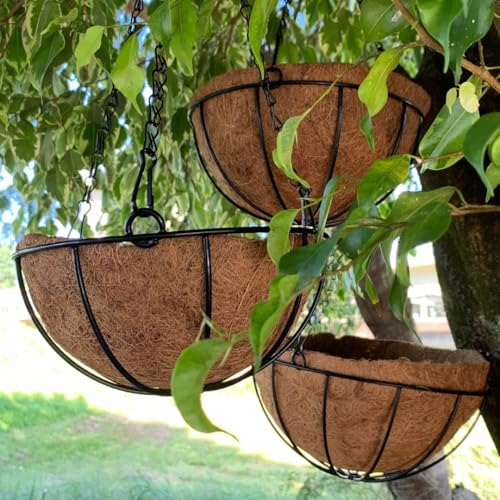 Vaso Fibra De Coco Suspenso 35cm Com Suporte Para Jardim