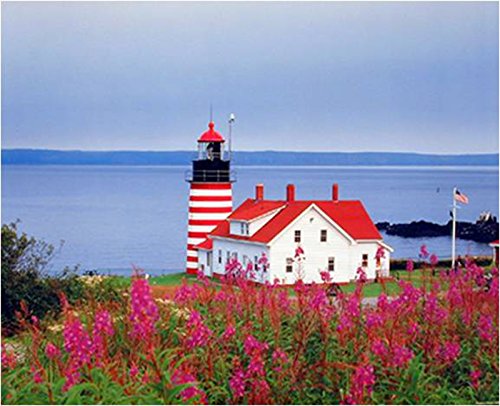 Lighthouse Portland Maine Three Set 8X10 Picture Ocean Landscape Wall Decor Art Print Posters #TOP4