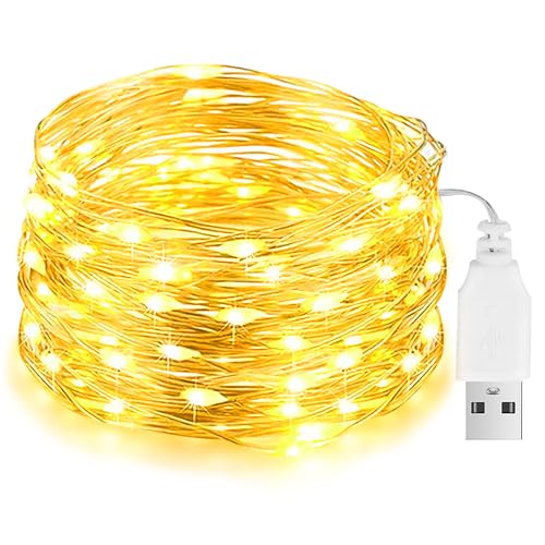 Led Lichterkette mit USB, 10M 100LED Wasserdicht Kupferdraht...