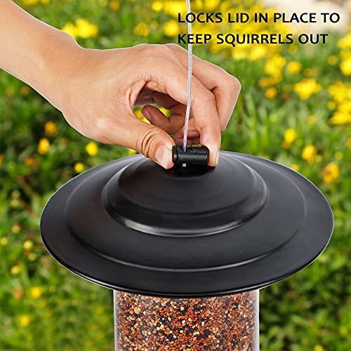 SAND MINE Panorama Bird Feeder, Wild Bird Feeder Hanging for Outside Garden Yard Decoration, Antique Dome Shaped Roof, Black