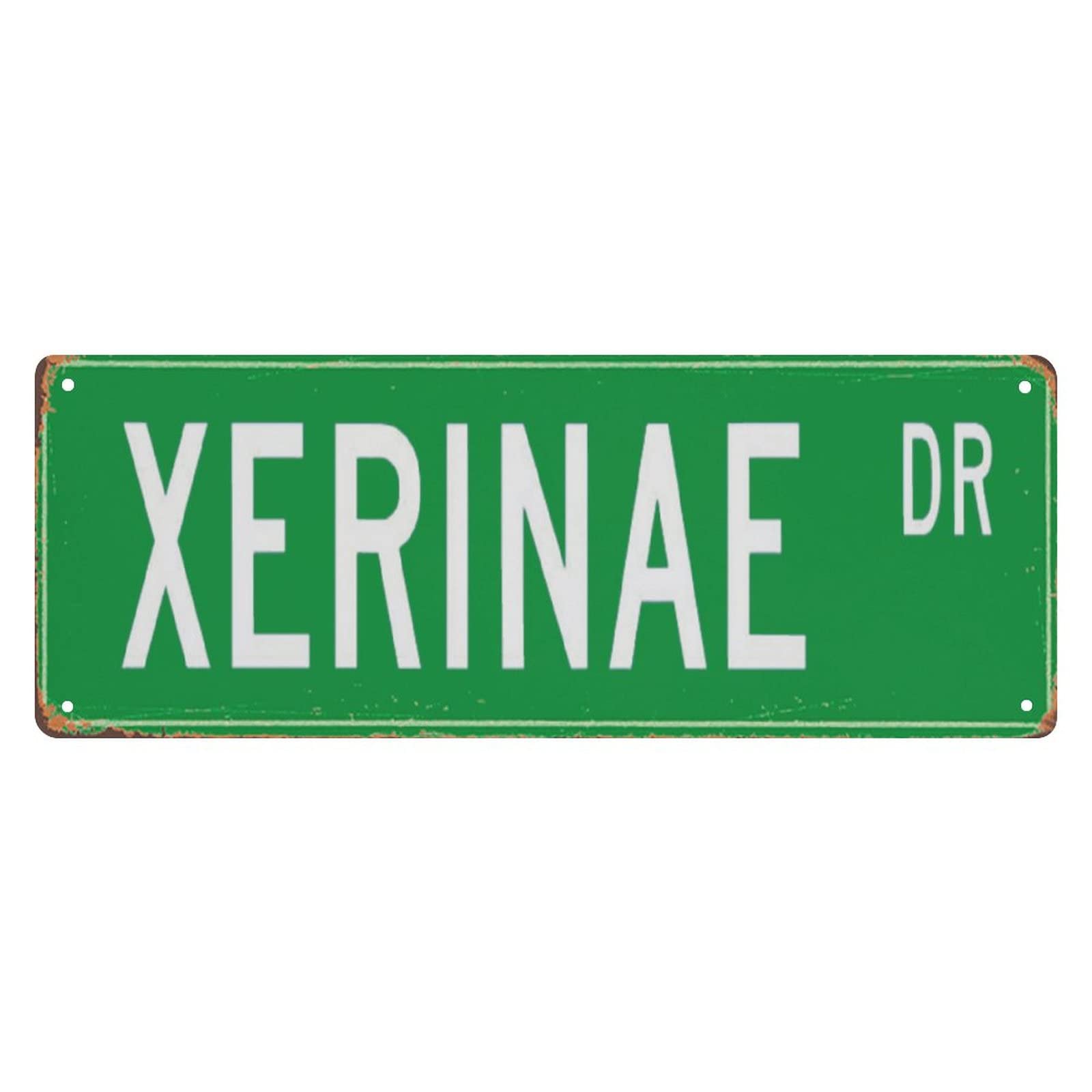 Xerinae DR Retro Tin Signs Aluminum Metal Plaque Porch Decor Home Kitchen Bathroom Club Wall Yard Coffee Funny Decor 4x16 Inch