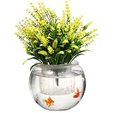 DOITOOL Transparent Hydroponic Self Watering Planter with Removable Basket Large Capacity Glass Flowerpot for Indoor Plants Visible Water Level for Easy Monitoring and Root Oxygen - Image 1