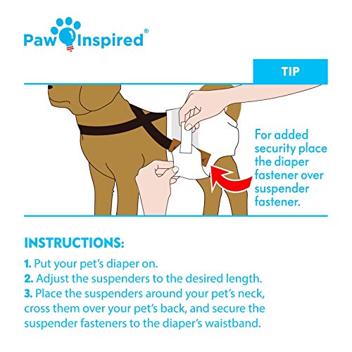 Image of Paw Inspired Dog Diaper Suspenders with Velcro Fasteners | Stretchy Adjustable Suspenders for Female and Male Disposable and Washable Diapers | Fits Small, Medium and Large Size Pets (M /L, Aqua)