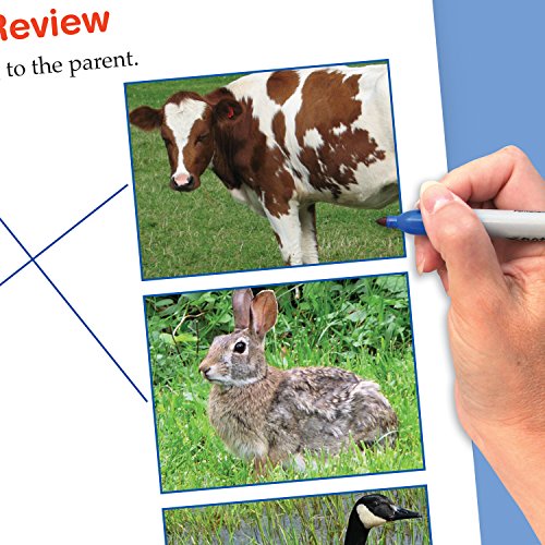 Image of Growth of Plants and Animals Flip Chart Set (Grades 3 - 5) - 10 Laminated Write-On /Wipe-Off, Double-Sided Charts Mounted on Easel with Activity Guide