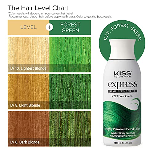 Kiss Express Semi-Permanent Hair Color 100Ml (3.5 Us Fl.oz) (1 Pack, Forest Green) #TOP3