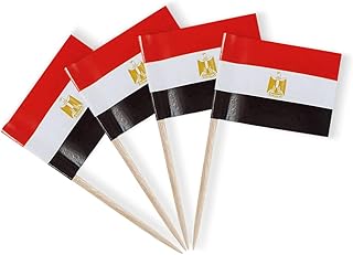 Egypt Flag Egyptian Flag, Small Mini Egypt Toothpick Flags for Food, Cupcakes, Cocktails, Appetizers, Bar Party Decorations