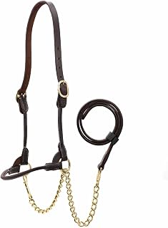 Jeffers Soft Pre-Oiled Harness Leather Show Halter for Cattle – Durable Rolled Cheeks, Noseband, 6’ Lead Rope with 24" Brass Chain & Bolt Snap, Safe Handling, Top Accessory