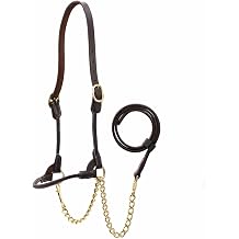 Jeffers Soft Pre-Oiled Harness Leather Show Halter for Cattle Durable Rolled Cheeks, Noseband, 6 Lead Rope with 24" Brass Chain & Bolt Snap, Safe Handling, Top Accessory