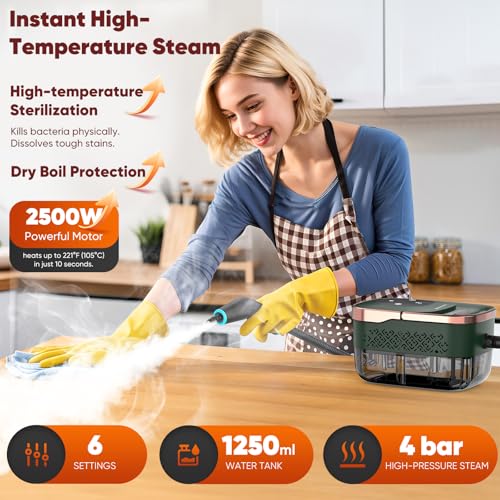 Image of Steam Cleaner, 2500W Home Handheld Grout Steam Cleaning Machine with 1.32QT Transparent Tank & 10 Attachments for Range Hood, Stove, Tile, Upholstery, Car Detailing & More (Green /Gold)