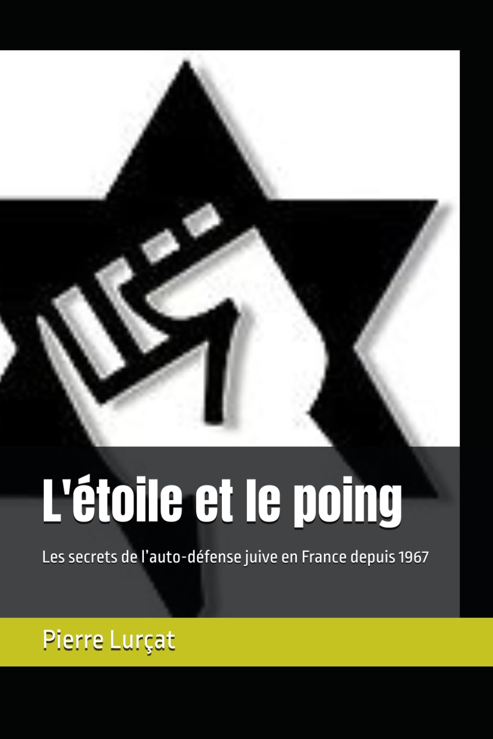 L'étoile et le poing: Les secrets de l’auto-défense juive en France depuis 1967