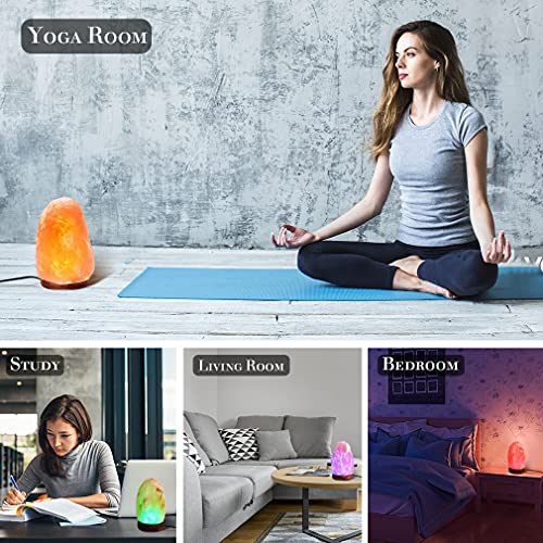 Himalayan Salt Lamp Night Light Rock 16 Colors Changing Updated,Usb Remote Control Natural Rock Lamp Dimmable Crystal Salt Table Lamps For Office,Home Deco,Yoga,Holiday Gift Household Pink Salt Lamps #TOP5