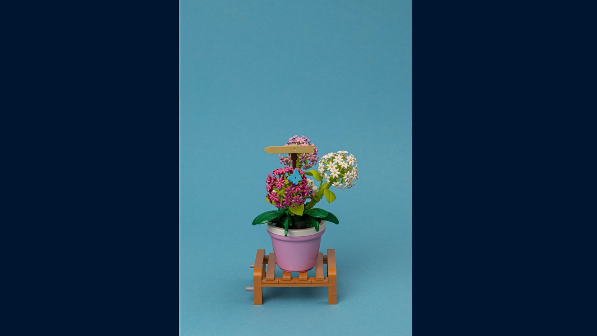 Amazon.co.jp: ZURU Max Premium Garden Pot Plants : Hydrangea