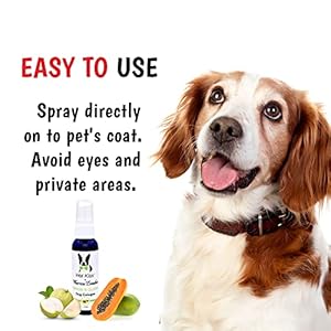 Warren-London-Wet-Kiss-Dog-Cologne-Long-Lasting-Dog-Spray-Dog-Deodorant-to-Remove-Odor-from-Stinky-Dogs-Papaya-Guava-2-Ounce-Bottle - Cucciolini Doodles   Warren-London-Wet-Kiss-Dog-Cologne-Long-Lasting-Dog-Spray-Dog-Deodorant-to-Remove-Odor-from-Stinky-Dogs-Papaya-Guava-2-Ounce-Bottle