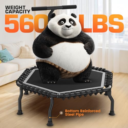 Image of ANCHEER 50 inch Rebounder Trampoline for Adults- 2026 Foldable Mini Trampoline with Bar- Exercise Trampoline for Adults, Max Load 560lbs, for Indoor /Garden Workout