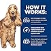 Hill's Prescription Diet z/d Skin/Food Sensitivities Hydrolyzed Wet Dog Food, Veterinary Diet, 13 oz. Cans, 12-Pack