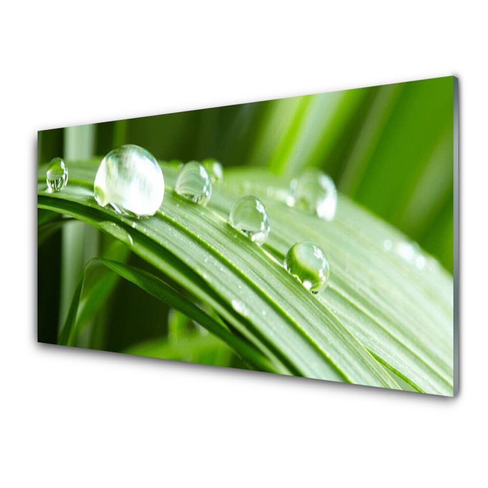 Gouttes floral tableau en plastique imprimé pour remplacer les cadres lourds et fragiles