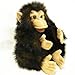 Produktbild Folkmanis Baby Chimpanzee Hand Puppet
