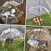 PETLESO Klarer Regenschirm mit Verstellbarem Griff für Welpen und Haustiere, mit Verstellbarer Schnur
