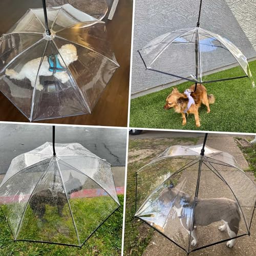 PETLESO Klarer Regenschirm mit Verstellbarem Griff für Welpen und Haustiere, mit Verstellbarer Schnur