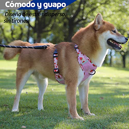 Perro, Video On Demand Imagen adicional