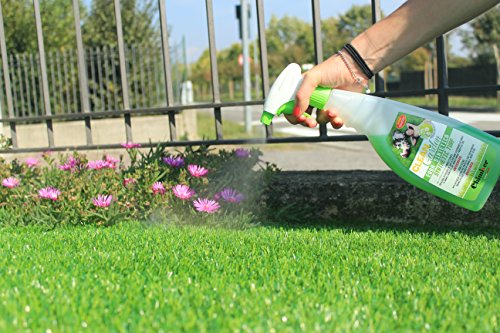 himiver - CLEAN Garden Pronto Kit 2 Stuck | Gebrauchsfertiger alkalischer Intensivreiniger, der für die Reinigung von Kunstrasen für den Wohnbereich geeignet ist. 2 Flasche 750ml