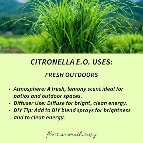 Aceite esencial de Citronela 10ml 100% puro miniatura 3
