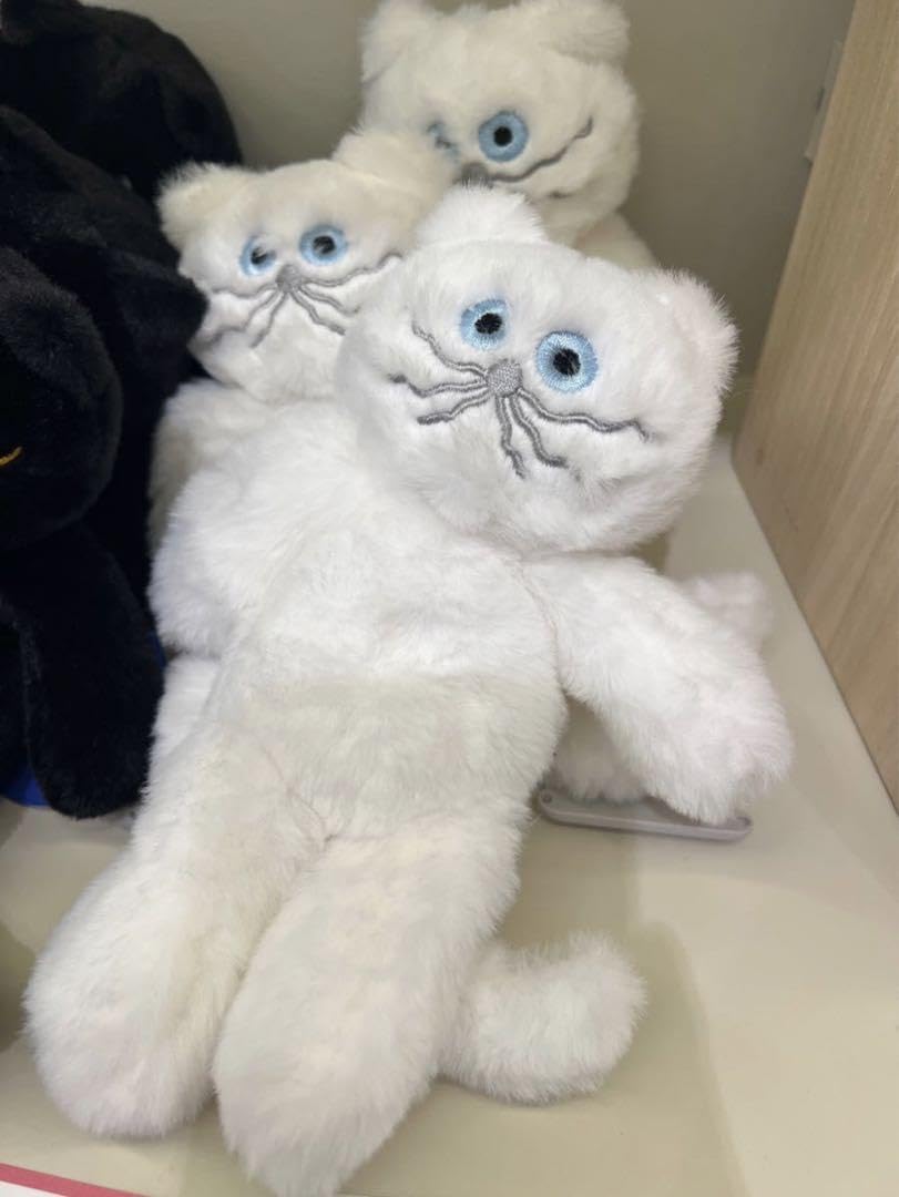 Amazon.co.jp: umao うまお 白猫ぬいぐるみ : おもちゃ