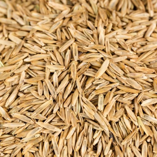Agrarshop Rasensamen Rasen Universal 20 kg Grassamen Spielrasen Sportrasen