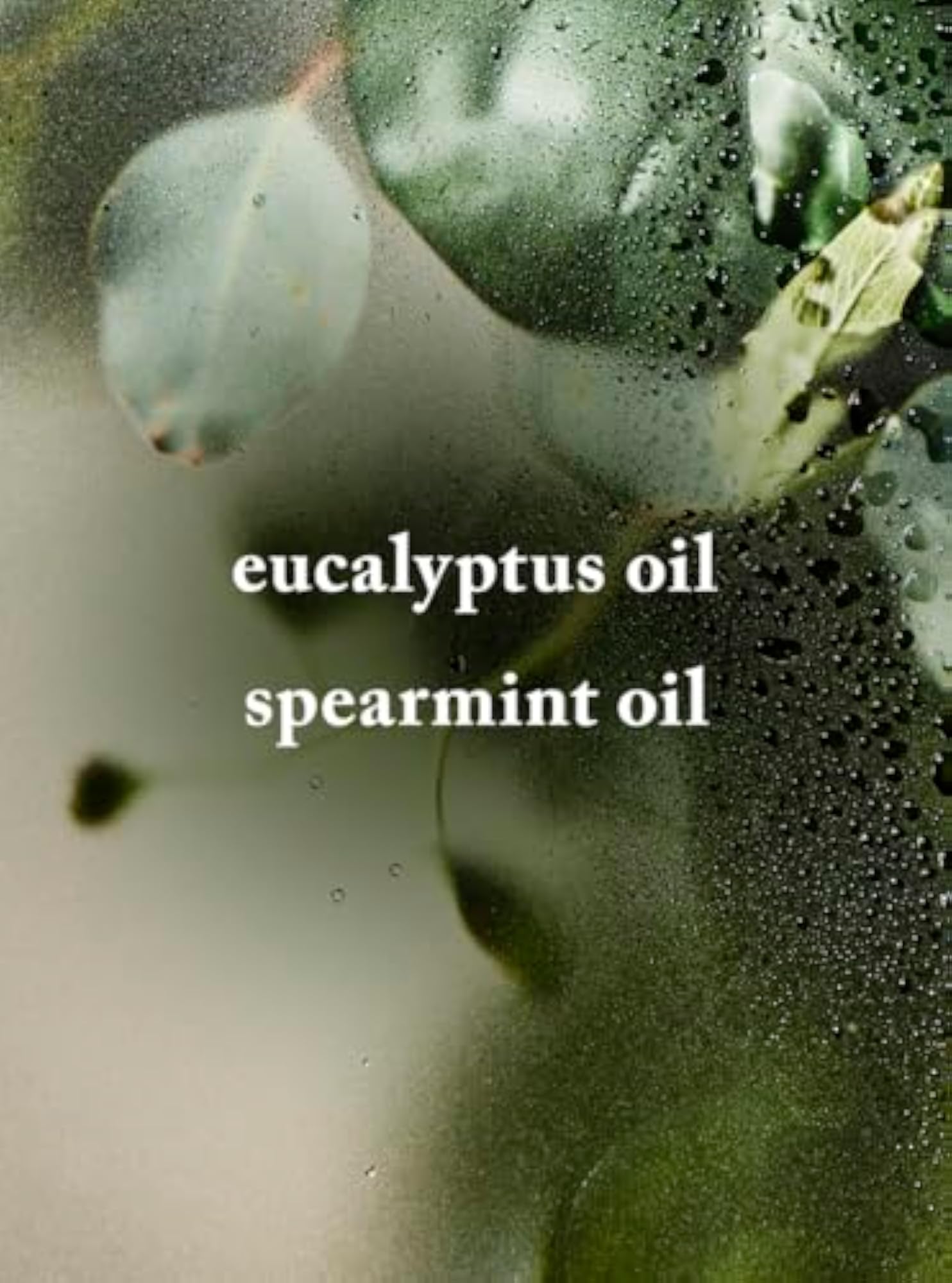 Eucalyptus Spearmint Bath Fizzy for Relaxation