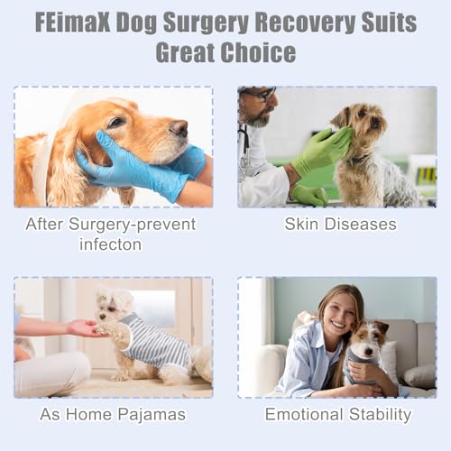Image of FEimaX Dog Surgery Recovery Suit Female and Male Spay with Pee Hole, Pet Body Suits for Puppy After Spayed, Neuter Surgical Onesie for Small and Medium Dogs Cats, Alternative Bandages E-Collar & Cone