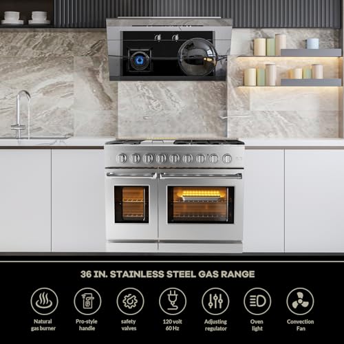 48 Inch Gas Range, Full Gas Freestanding Range with 6 Sealed Burners Cooktop & Cast Iron Grates & 7 Cu.Ft. Double Convection Oven, Stainless Steel Gas Range Stove for RV, Silver
