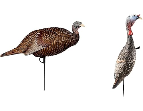 Best Funky Chicken Decoy: Top Picks for 2024 | [Keyword]
