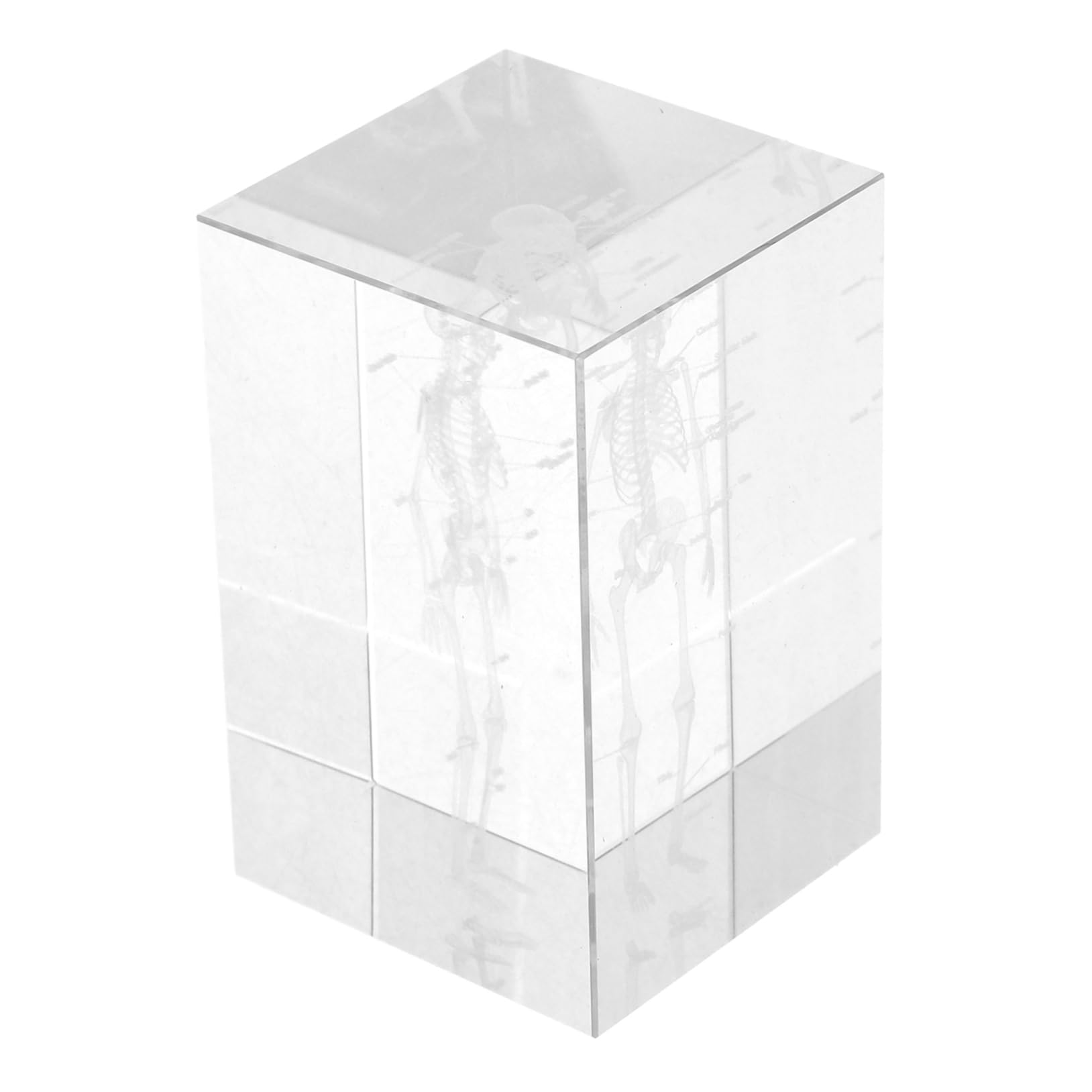 Zerodeko Anatomical Skeleton Model in Crystal Glass Cube Detailed Human Anatomy Display for Medical Students Home Office Decoration Educational Present