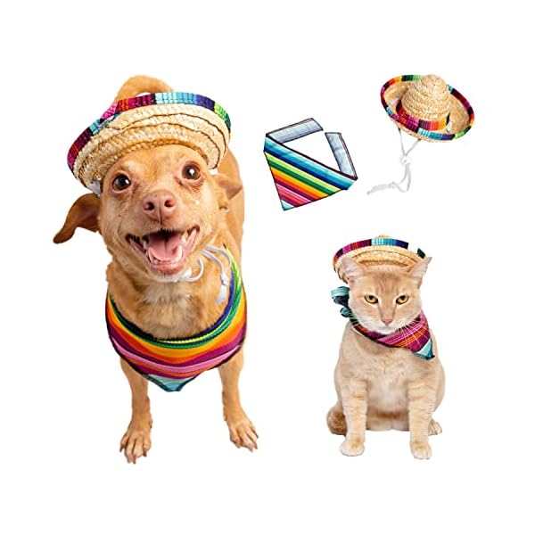 Cinco de mayo dog outfit - 2 piece set - mexican sombrero hat and collar - dog sombrero hat - dog bandana - mexican dog collar - pet costume for smaller dogs - cat costume - mexico fiesta by pet krewe
