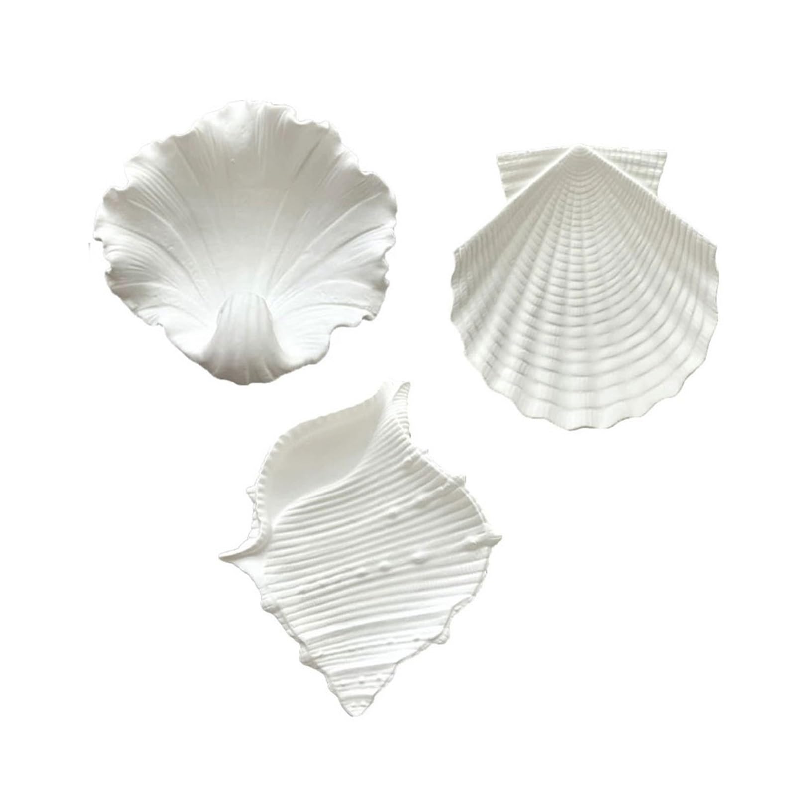 Portagioie Donna 3 Pack Conch Scallop Shape Matte Gypsum Jewelry Trays Organizer Gioielli