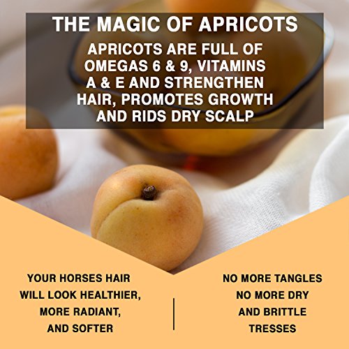 image for Knotty Horse Apricot Oil Highlighting Coat Shine | Made with Real Apri