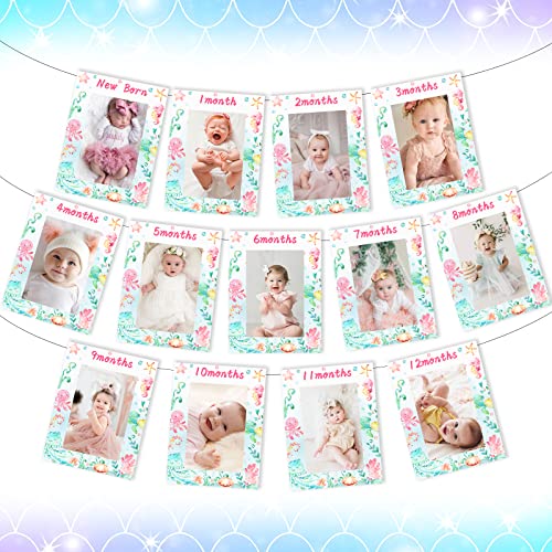 Under the Sea 1st Birthday Decorations for Girls, Ocean Themed Monthly Photo Banner for Newborn to 12 Months, Sea Animal Marine Creature Theme First Birthday Party Supplies