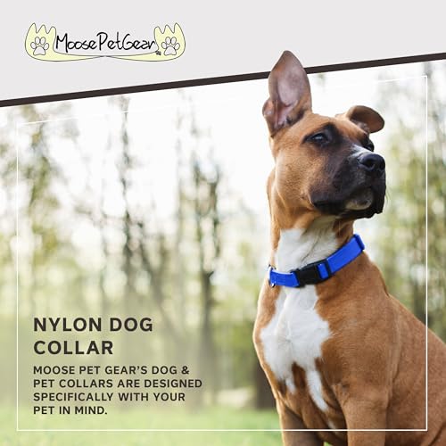 Image of Dog Collar - Colored Adjustable Pet Collars, 3 /4 Inch Wide, Small, Royal Blue