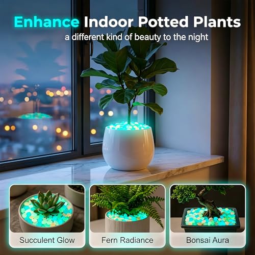Image of 1000pcs Colorful Glow in the Dark Rocks, 2026 New Glowing Pebbles for Garden Outdoor Night Fruity Solar Guide Pebbles, Magical Luminous Rocks Landscaping Gravel (Colorful-200pcs)