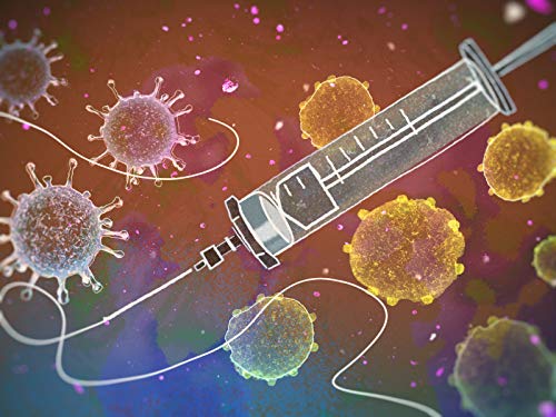 What ingredients are in vaccines?