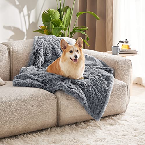 BEDSURE wasserdichte Hundedecke für mittelgroße Hunde - 80 x 100 cm Langer Plüsch Hundedecke waschbar, Haustier Decke flauschig und weich, Schutzdecke Hundesofa, Katzendecke für Katzen, Grau