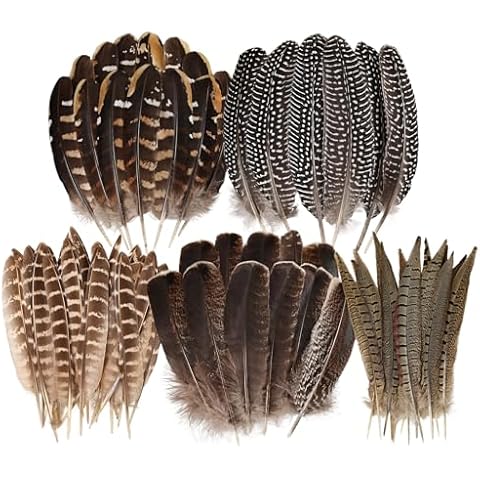 Daieeparty 15pcs Pheasant Feathers 5-9inch Natural Craft Feather for Home DIY Dreamcatcher Hat Costumes Decoration(5 Styles) Cover