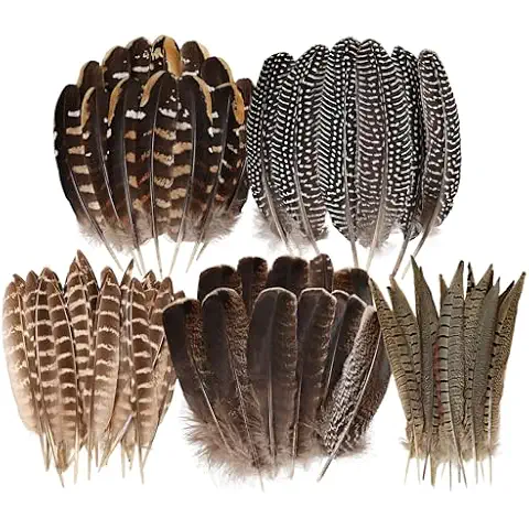 Daieeparty 15pcs Pheasant Feathers 5-9inch Natural Craft Feather for Home DIY Dreamcatcher Hat Costumes Decoration(5 Styles) Cover