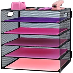 5 Tier Lettrer Tray Organizer, Metal Mesh Desk File Organizer with Sliding Trays, Paper Sorter Desk Organizer for Home Office School, Black