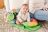 2 in 1 Tummy Time Pillow & Baby Lounger - Seat Support for Baby Play Mat for Babies 0-6 Months, Infant Lounger Activity Center with Newborn Toys, Floor Pillows Sit Me Up, Infant Toys Floor Lounger #1