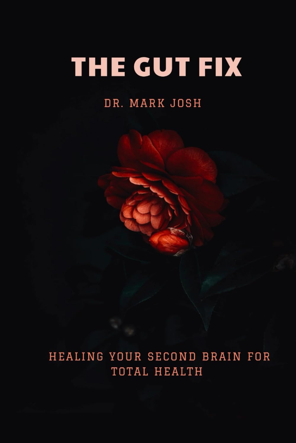 THE GUT FIX: Healing Your Second Brain For Total Health: 3 (Stronger Every Day)