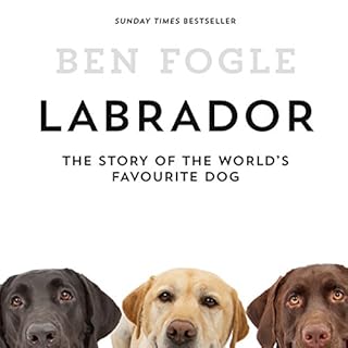 Labrador Audiolibro Por Ben Fogle arte de portada
