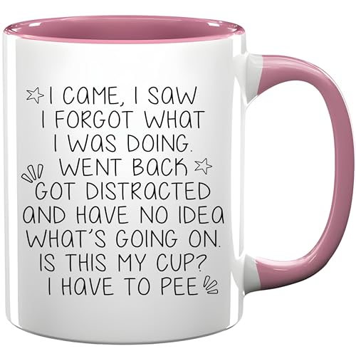 Funny Senior Citizen I Came I Saw I Forgot Mug