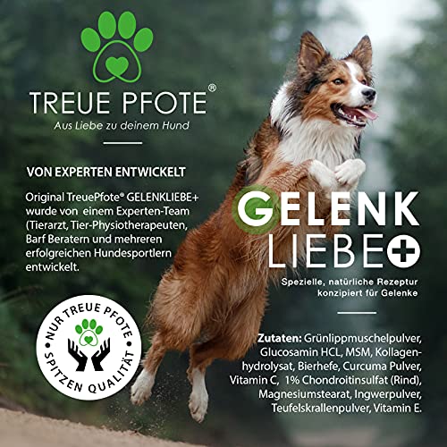 TreuePfote® - 100 Gelenktabletten Made in Germany für Hunde mit MSM, Grünlippmuschel und Teufelskralle - hohe Akzeptanz beim Hund - reicht für 6 Monate